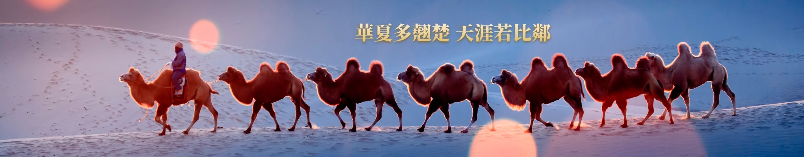 泊头市鑫研传动机械制造有限公司-泊头市鑫研传动机械制造有限公司,膜片联轴器,鼓形齿式联轴器,链轮链条联轴器,弹性柱销齿式联轴器,泊头市鑫研传动机械制造有限公司，膜片联轴器,鼓形齿式联轴器,链轮链条联轴器,弹性柱销齿式联轴器,泊头市鑫研传动机械制造有限公司