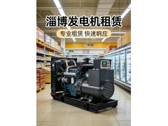淄博厂房生产发电机出租 三相380V大功率图2