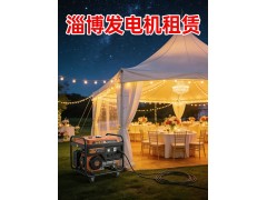 淄博厂房生产发电机出租 三相380V大功率图3